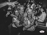 Party 10.11.2017